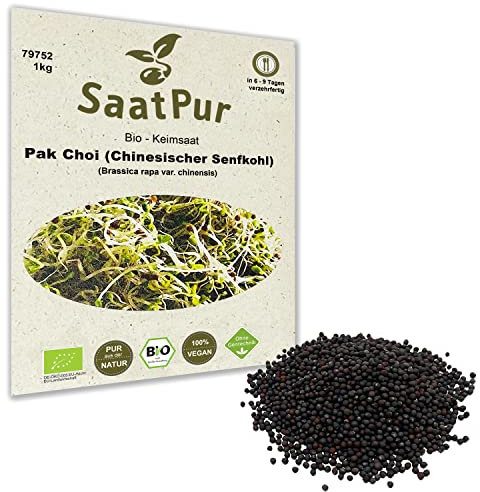 1 Kg BIO Keimsprossen Pak Choi (Chinesicher Senfkohl) Samen für die Sprossenanzucht Sprossen Microgreen Mikrogrün