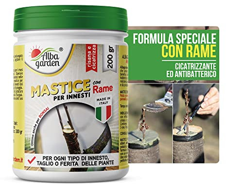 Albagarden - Mastice Per Innesti E Potature ++ Con Rame ++ Antibatterico Pasta Cicatrizzante Curativa Per Ferite Piante Alberi Arbusti Kit Bonsai X 200 Gr