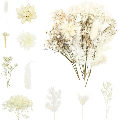 Trockenblumen, Getrocknete Blumen, Natürliche Trockenblumen zum Basteln, Trockenblumen Deko Gepresste Blumen für Kunst Basteln Handwerk Epoxidharz Deko DIY Trockenblumen (Weiß)