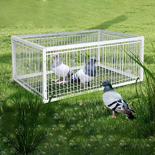 NOBBAT Trampa para pájaros, jaula trampa para pájaros, trampa para atrapar pájaros, trampa grande para pájaros, puerta para palomas mensajeras, palomas, suministros para cría y captura de pájaros(40x3