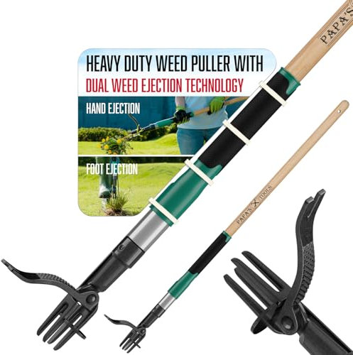 Papa's Tools Weed Puller Tool, 44 Stand Up Weeder Garden Tools & 4 Claw Steel Head, Dual Weed Eject Tech. Made with Real Bamboo & Long Wooden Handle, Yard Weeding Remover for Gardening Men & Women