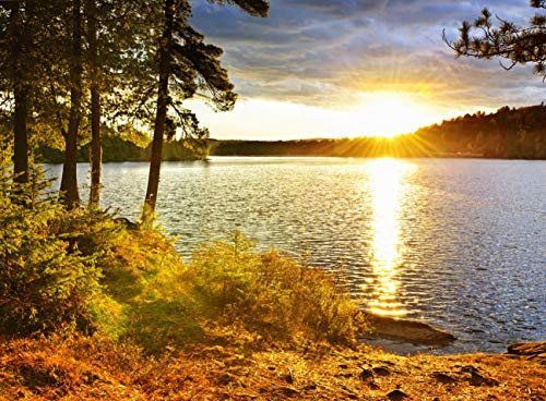 SEE Fototapete VLIES-300x223 cm (529A)-Natur Landschaft Sonnenuntergang Gebirge Bäume Wald Wandtapete-Inkl. Kleister-Vliestapete Bild Dekoration Wand-Dekor Moderne Motiv-Tapete Panorama Poster XXL