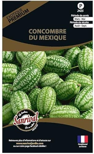 Graines potagères Premium Concombre du Mexique