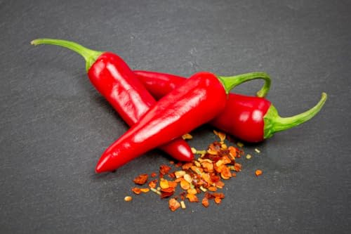 Semi di Peperoncino Amament Chily, Origine Nord Africa, Piccantezza Bassa, Nota Speziata, 30 Semi