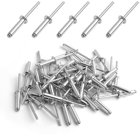 50 Pièces Rivets Aveugles en Aluminium Noir à Large Bride, Rivets Pop à Extrémité 0uverte, Rivets Pop en Aluminium à Tête Large, pour Constructions, Boîte de Rangement, Meubles (Argenté, 4.8mm x 20mm)