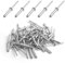 50 Pezzi Rivetti Ciechi in Alluminio con Grande Flangia, Rivetto cieco in alluminio, Rivetti Ciechi in Lega di Alluminio, per Costruzioni, Automobili, Nautica e Mobili (Argenté, 4.8mm x 20mm)