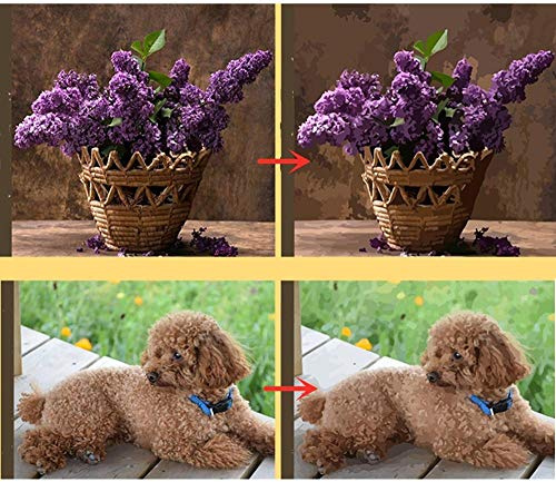 mnbhj Personalized Oil Painting Photo Custom Paint By Numbers for Adults Kids Beginner,Record Beautiful Moments,with Paint and Brush,Birthday Gift and Home Decoration 30 * 40CM(Frameless)