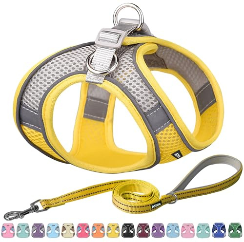 AIITLE - Juego de arnés y correa para perro, chaleco acolchado ajustable para todo tipo de clima, puesta fácil por las patas, asa acolchada suave, para perros pequeños y medianos, amarillo, talla S