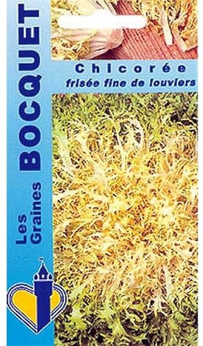 Sachet de graines de Chicorée frisée fine de Louviers - 4 g - légume feuille - LES GRAINES BOCQUET