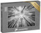 puzzleYOU: Puzzle 1000 Teile „Abstrakte Fotografie: Bäume ragen in den nebligen Himmel, schwarz-weiß“ – aus der Puzzle-Kollektion Fotokunst