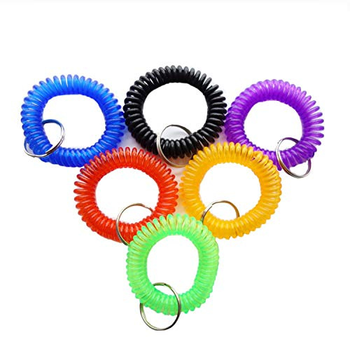 HAMIYELL Pack of 6 Colorful Spring Spiral Wrist Coil Key Chain, Wristband Key Ring