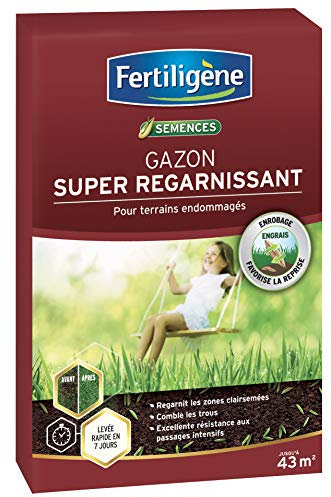 FERTILIGENE REGAR43 - Semences Gazon Super Regarnissant 875 g - Premières pousses en 1 semaine - Regarnit les zones abîmées et comble les trous - Excellence résistance aux piétinements - Pour 43 m²