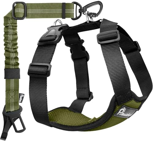 Pawaboo Cintura di Sicurezza per Cani da Auto,Imbracatura Cani Auto con Doppia Clip,Giubbotto Traspirante Regolabile&Cinghia Sicurezza con Elastico per Animali Piccola,Media,Grande, XL, Verde+Nero