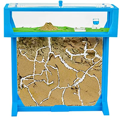 AntHouse - Fourmiliére de Sable | Kit T Big 3D 25x20x1,5 cm | Ferme de Fourmis Bleu | Colonie de Fourmis Incluse