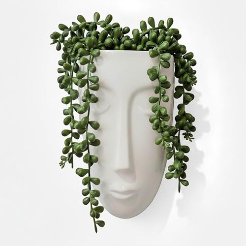 iubihome - Decoracion Pared para el Hogar Forma de Rostro, Adornos de Pared para Salon Moderno con Plantas Artificiales Decorativas Colgantes