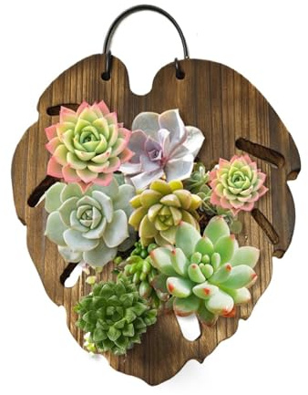 Soporte Para Orquídeas Soporte Vertical para Pared en Madera con Forma Cola