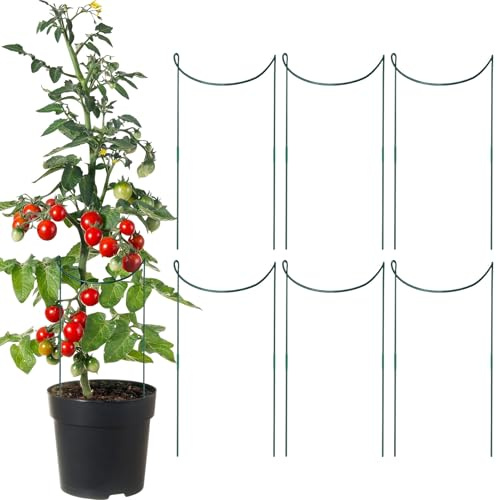 Soportes para Plantas de Interior | 6 Unidades Varillas de Jardín Metálicas Soporte para Jaulas,Soportes Metálicos Antioxido para Enredaderas Peonías Macetas Accesorios Jardinería