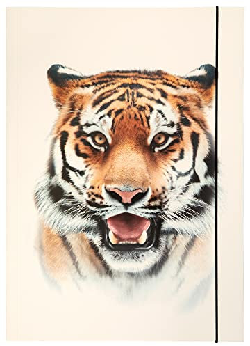 folia 69004 - Sammelmappe A3 Basic Roaring Tiger, aus stabilem Karton mit Gummiband