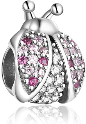 Jokmeo Ciondolo charm in argento 925 puro, compatibile con bracciali e collari della marca Pandora e di stile europeo. Adatto a donne e ragazze.