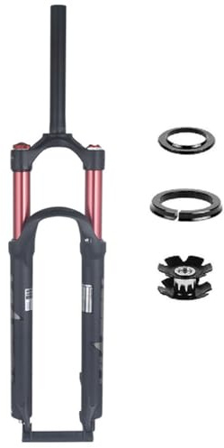 LHHL 26/27.5/29 inch Air VTT Suspension Fork Axe Traversant 15x100mm 100mm Voyage 1-1/8 Tube Droit HL Frein À Disque Fourche Avant VTT avec Amortissement (Color : Rot, Size : 29inch)