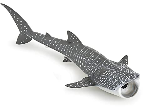 Papo - Große Tierfigur - Walhai, Sanfter Ozeanriese, Kinderspielzeug ab 3 Jahren - Unterwasserabenteuer für kleine Entdecker des Meeresuniversums