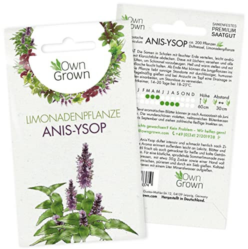 Anis Ysop Samen: Premium Duftnessel Samen für die Anzucht von 200 Cocktail Kräuter Pflanzen in Balkon oder Garten – Wildkräuter Samen Kräuter – Kräuter Samen für die Duftnessel Pflanze von OwnGrown
