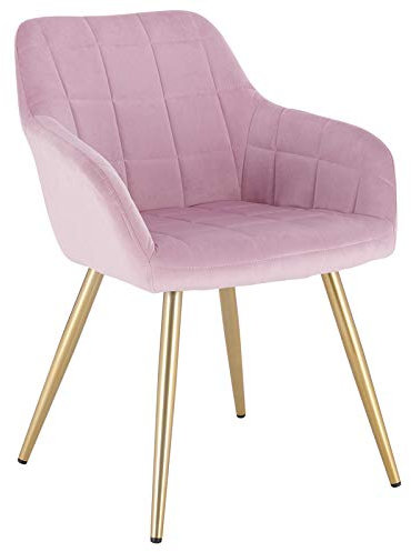 WOLTU 1 X Kitchen Dining chair Pink/Golden with arms and backrest,Living Room chair chair for bedroom Velvet,BH232rs-1
