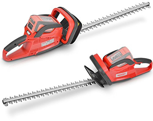 HECHT Akku-Heckenschere 6040 Strauch-Schere (750 Watt, Schnittlänge von 550 mm)