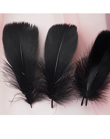 Luvilly 300Pcs Black Craft Rooster Feathers,Bulk Feathers Crafting Supplies Wedding Decorations,Natural Feathers for Family Party Decorations/Dream Catcher Supplies