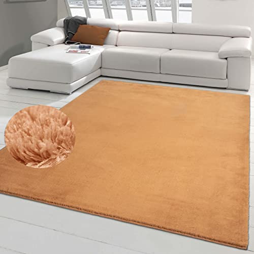 Teppich-Traum Moderner Designer Wohnzimmerteppich einfarbig | flauschig und waschbar | in terrakotta, 140x200 cm