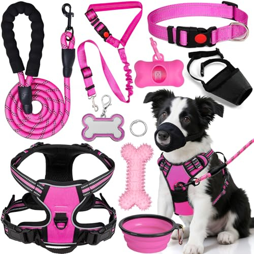 YXFDOYT No Pull Dog Harness Adjustable Collar & Leash Set - Dog Halter Harnesses Collapsible Bowls & Poop Bag Dispenser Muzzle ID Tags Toys Fits Small Medium Large Dogs (Pink-M)