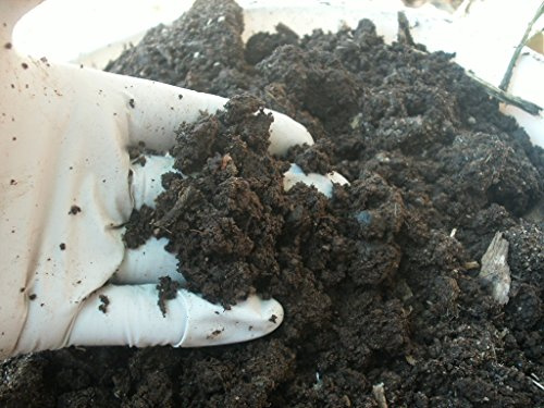 3 LBs of All Nature Organic Horse Manure (Aged)