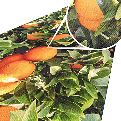 ANRO Küchenteppich Küchenläufer Teppich Läufer Küche abwischbar rutschfest Design Orangen 140 x 52cm