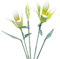 Famiredo Lilienblumen-Bausatz für Erwachsene, Blumenstrauß-Baustein-Set, künstliche Blumen Mini-Bausteine für Geschenke/Heimdekoration, Botanical Collection (White)