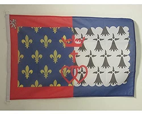 AZ FLAG - Drapeau Pays de la Loire - 45x30 cm - Pavillon Nautique Ligérien - France Spécial Bateau Et Extérieur En Maille Bloquée Avec Anneaux Plastiques Intégrés - 30g