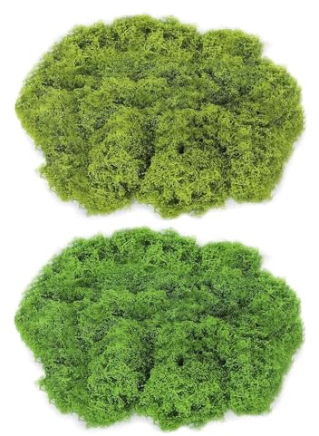 2Pcs Muschio, Foto di Muschio, Muschio Artificiale, Muschio Sintetico, Muschio Finto per Decorazioni, Muschio Artigianale Fai da Te, Muschio l'artigianato Verde, per La Decorazione del Giardino(200g)
