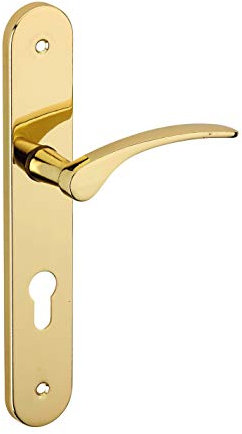 THIRARD - Ensemble de Poignées pour Porte d'Entrée Dionysos - Acier Embouti - Design Élégant - Trou de Cylindre - Entr'Axes 195 mm - Carré 7 mm - Finition Laitonnée - Jaune/Doré