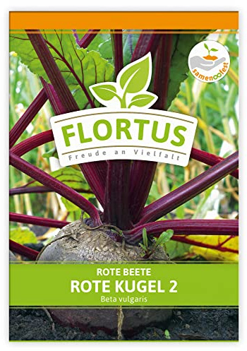 FLORTUS Rote Beete Rote Kugel 2 | Gemüsesamen | Rübensamen | Rote Beetesamen | Samen zur Anzucht für Garten, Balkon, Küche & Fensterbank