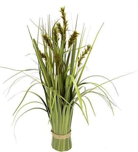 Flair Flower gräs bunt rävsvansgräs stående gräs konst gräs oäkta blommor växt grön växt konstgräs dekorativt gräs rangement borsthirs Panicoideae sötgräs Setaria