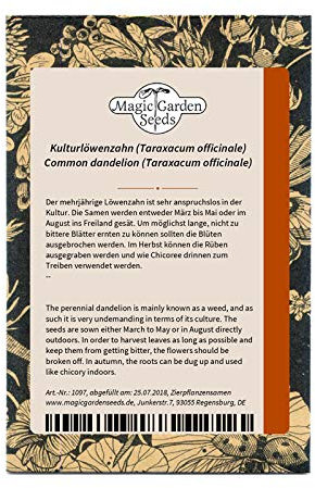 Taràssaco/cicoria selvatica (Taraxacum officinale) - circa 500 semi