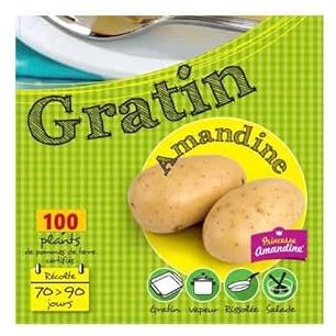 Amandine 100 Plants de pomme de terre