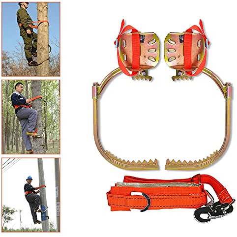 Crampons pour l'escalade d'arbres, équipement d'escalade pour la survie en jungle/la cueillette de fruits/la chasse, chaussures en fer pour électricien