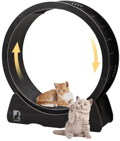 RYpetmia 43 Large Cat Exercise Wheel for Indoor Cats, Quiet Cat Running Wheel with Safety Lock, Non-Tip Treadmill for Cats Up to 55 lbs