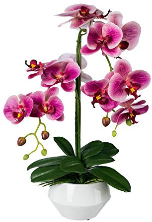 Gasper Kunstpflanze Orchidee 52 cm künstliche Phalenopsis Lila im Topf Schale - 1019032-05
