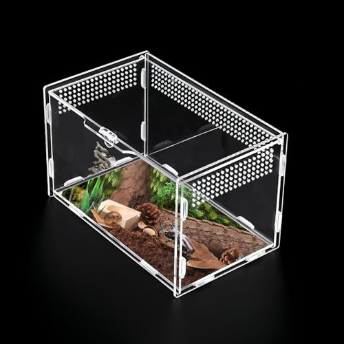 Goerpn Reptile Terrariums Stick Insect Enclosure 20×12×12cm Transparent Acrylic Reptile Feeding Box Insect Habitat Terrarium Case for Spider Lizard Scorpion Geckos Centipede Horned Frog Beetle Mantis