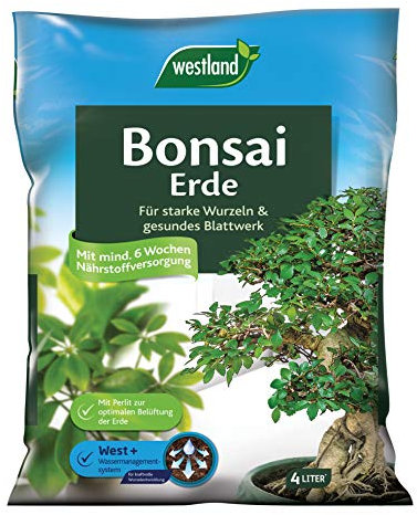 Westland terreau spécial bonzaïs, 4 l – Terreau avec granulés d’Argile pour des Racines Fortes, des Feuilles saines et Une Nutrition idéale