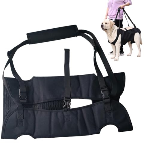 Umllpet Aide au transport de chien - Escalier - Harnais portable - Aide à la marche réglable pour chiens malades ou âgés - Aide au levage complet du corps pour chiens de taille moyenne - Noir - Taille