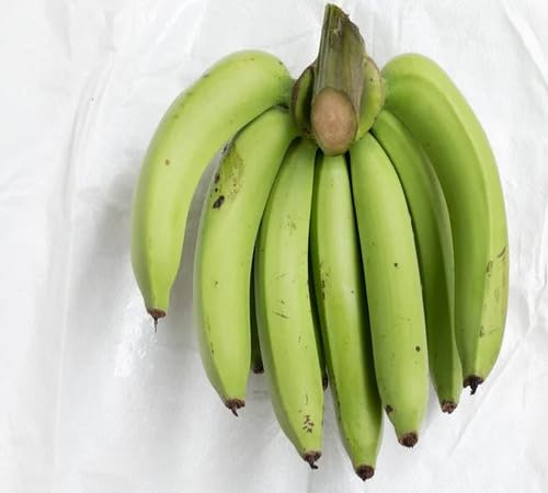 100 semillas de plátano verde