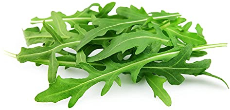 Arugula Seeds, 250+ Heirloom, Non GMO Seeds, Eruca Sativa.
