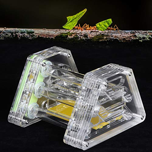 Ferme de nid de fourmis Acrylique Transparent Fourmi Nourrir Living Nest Farm I nsect Boîtier hydratant Logement Maison Habitat Fourmi Château de ferme avec pince à épiler et